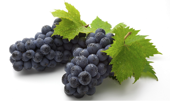 1554273000518443XtVU.png 圖片1.png